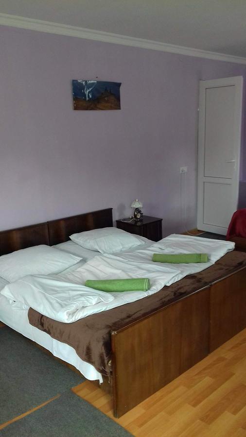 Nino Khetaguri Guest House Kazbegi Exterior foto