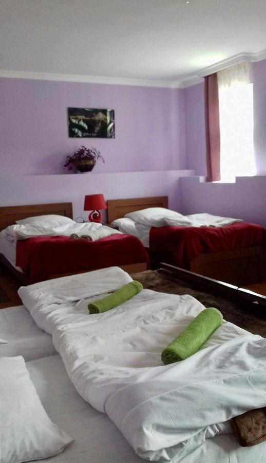 Nino Khetaguri Guest House Kazbegi Exterior foto